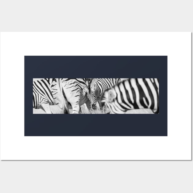 Zebra herd oblong black and white stripe full frame. Wall Art by brians101